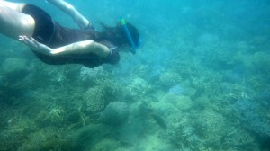 PMT à la baie des citrons