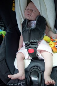 Premier déplacement dans la coquille