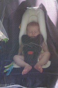 Promenade au parc forestier