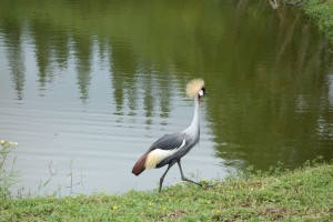 Sortie au parc forestier