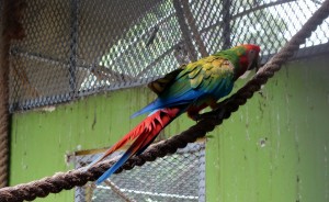 Sortie au parc forestier