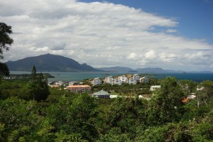 Sortie au parc forestier