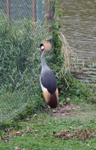 Sortie au parc forestier