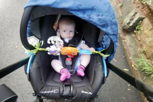 Promenade au parc forestier.