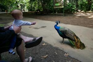 J'aimerais bien toucher la peluche qui bouge là