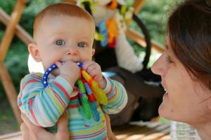 Je croque tout ce qui bouge