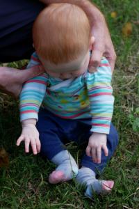 Je découvre l'herbe