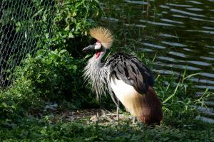 J'ai la même coupe de cheveux le matin des fois !