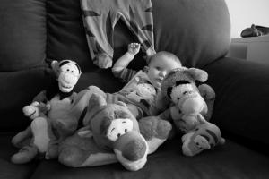 Un bébé se cache parmi ces peluches, saurez vous le trouver ?