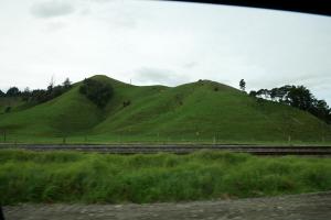 Sur la route entre Auckland et Rotorua