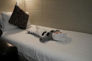 Equipée pour sortir