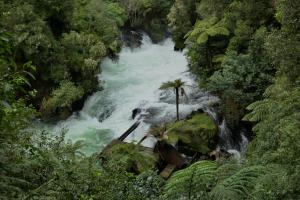 Okere falls scenic reserve