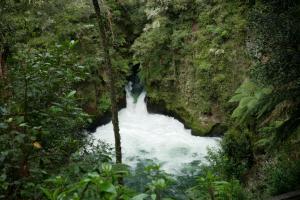 Okere falls scenic reserve