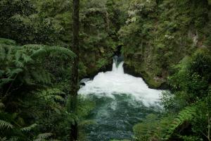 Okere falls scenic reserve
