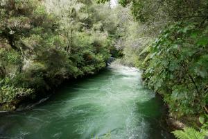 Okere falls scenic reserve