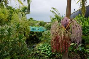 Jardins botaniques de Hamilton