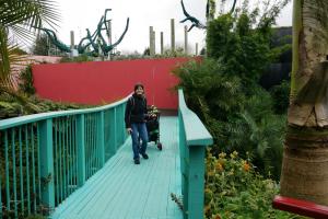 Jardins botaniques de Hamilton