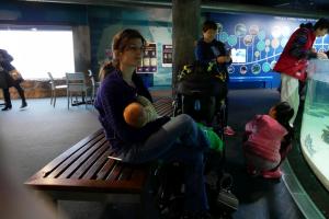 Tétée à l'aquarium