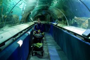 Aquarium : tunnel sous-marin. 