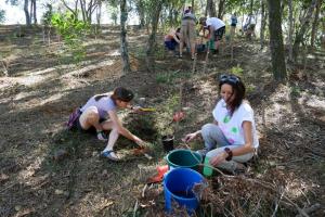 Plantation : l'arbre de Zoé