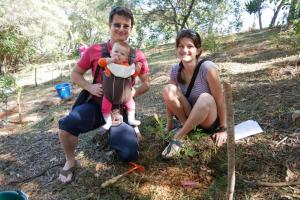 Plantation : l'arbre de Zoé