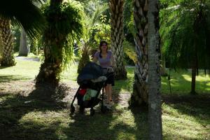 Promenade dans la végétation