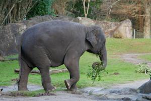 Toujours partir en ballade avec des provisions