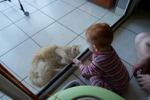 Le chat (Minette), c'est ma copine. On se fait des signes, elle se roule, vraiment sympa cette copine !