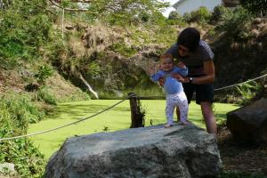 Devant la mare, je me marre.