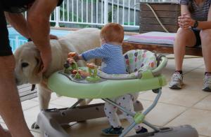 La chienne m'intrigue beaucoup et je rève de le caresser. Mais j'ai l'impression qu'elle m'évite.