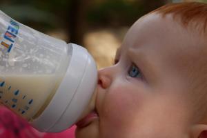 Déjeuner au parc forestier