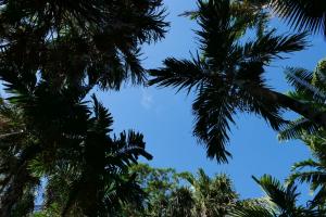 Petite sieste pour moi, vue du ciel depuis l'endroit où j'ai garé ma poussette.