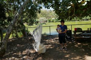 Vraiment sympa ce paon de me montrer toutes ses plumes!