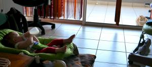 Petit dej' avec vue sur chat