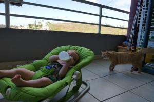 P'tit dej avec le chat