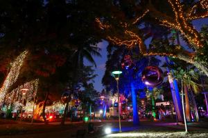 Place des cocotiers : illuminations de Noel