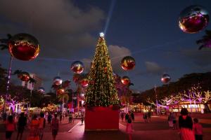 Place des cocotiers : illuminations de Noel