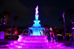 Place des cocotiers : illuminations de Noel