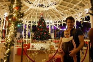 Place des cocotiers : illuminations de Noel