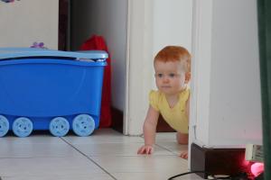 Promenade dans l'appart'