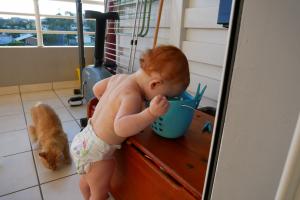 Vérification rapprochée que les épingles sont bien toutes là