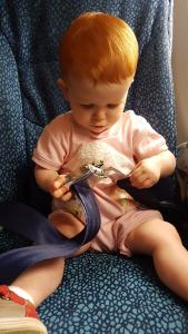 Vérification des organes de sécurité