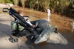 Moi les crocos, je domine