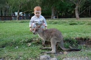 Parc de currumbin (zoo)