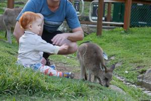 Parc de currumbin (zoo)