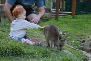 Parc de currumbin (zoo)