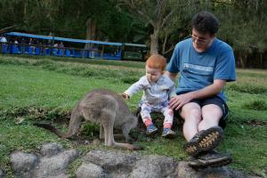 Parc de currumbin (zoo)