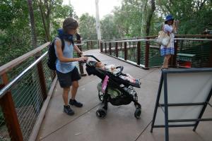 Parc de currumbin (zoo)