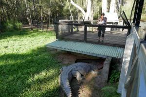 Ah les croco, crocodileuhhh ... 