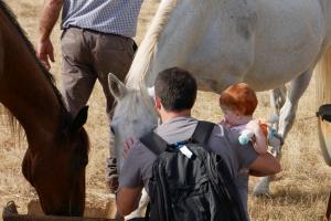 Découverte des animaux chez Jean-Paul. 